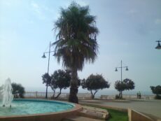 Your Complete Guide to Becoming a Successful Digital Nomad Torrevieja ©